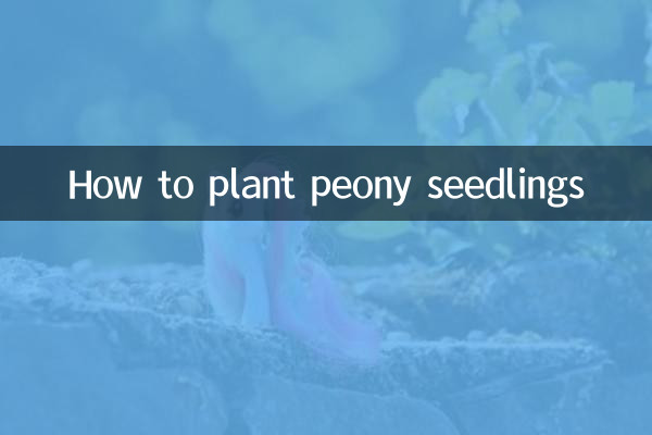 كيفية زراعة شتلات الفاوانيا