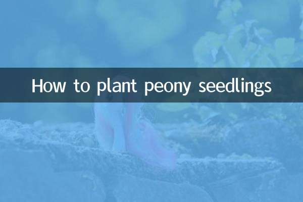 Wie man Pfingstrosensämlinge pflanzt