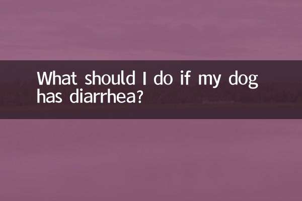 Que dois-je faire si mon chien a la diarrhée ?