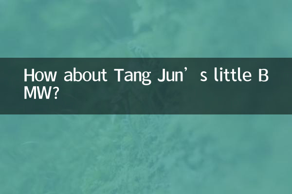 唐骏小宝马怎么样