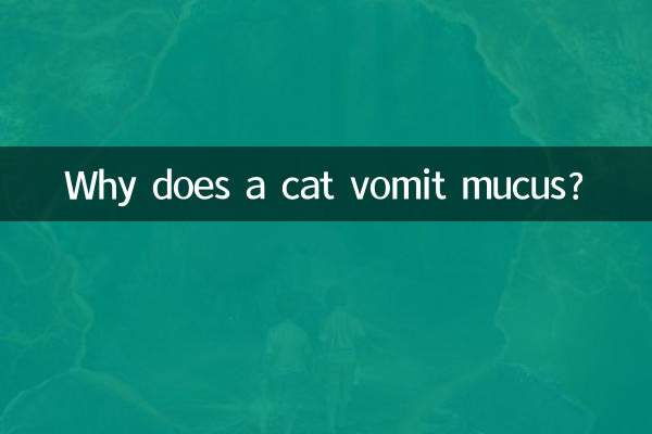 Por que um gato vomita muco?