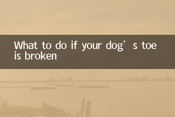 আপনার কুকুরের পায়ের আঙুল ভেঙে গেলে কী করবেন