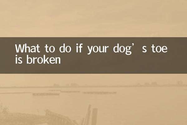 اگر آپ کے کتے کا پیر ٹوٹ گیا ہے تو کیا کریں