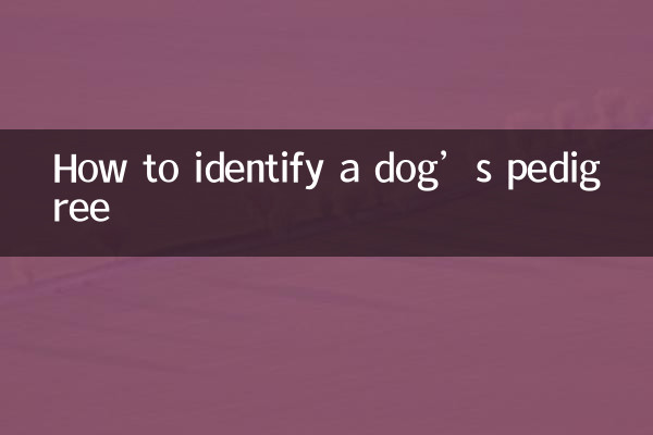 Come identificare il pedigree di un cane