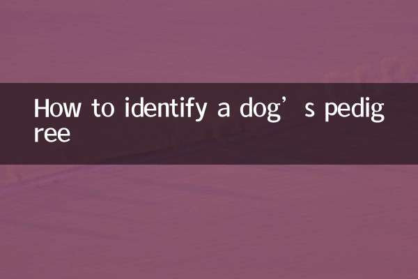 Come identificare il pedigree di un cane