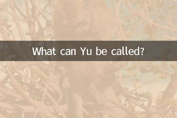 What can Yu be called?