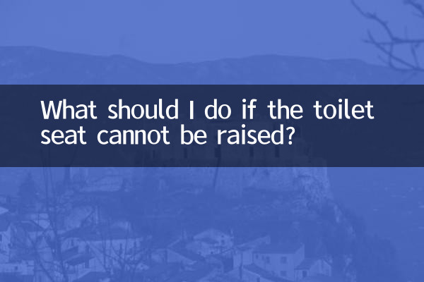 اگر نشیمن توالت را نتوان بلند کرد چه باید کرد؟