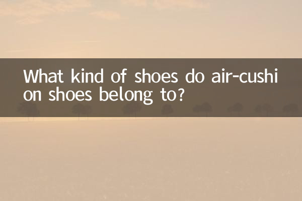 What kind of shoes do air-cushion shoes belong to?