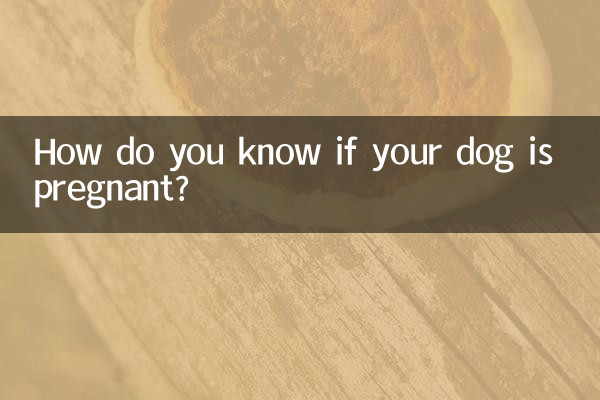How do you know if your dog is pregnant?