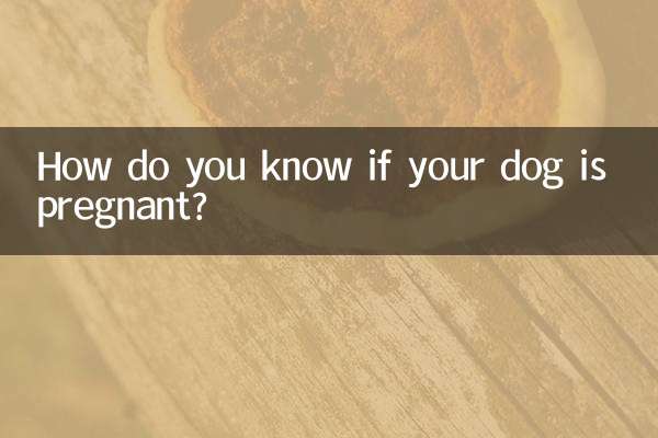 How do you know if your dog is pregnant?