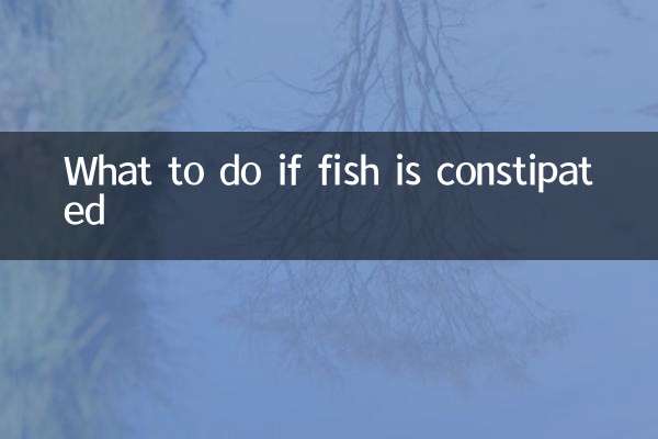 What to do if fish is constipated