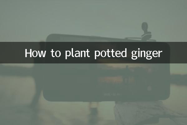 Wie man Topfginger pflanzt