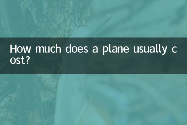 How much does a plane usually cost?