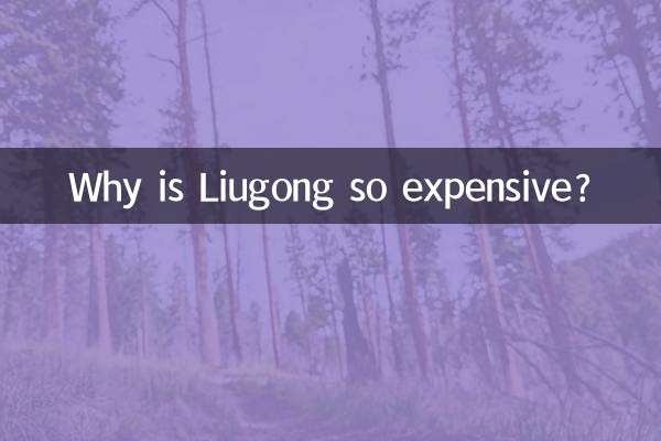 ¿Por qué Liugong es tan caro?
