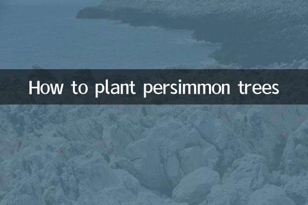 How to plant persimmon trees