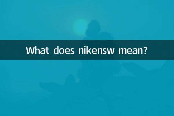 nikensw은 무슨 뜻인가요?