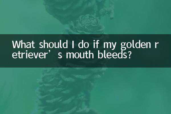 What should I do if my golden retriever’s mouth bleeds?