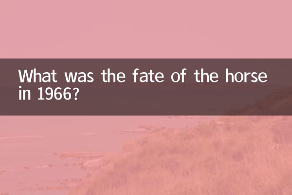 1966 میں گھوڑے کی قسمت کیا تھی؟