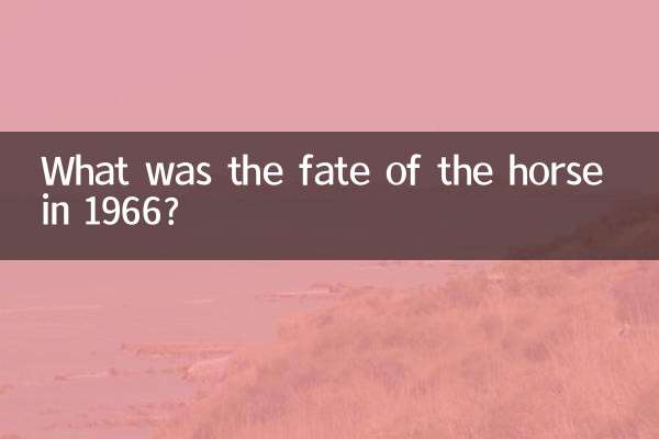 1966 میں گھوڑے کی قسمت کیا تھی؟