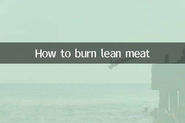 瘦肉怎麼燒爛