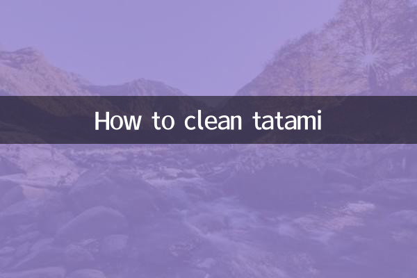 كيفية تنظيف التاتامي