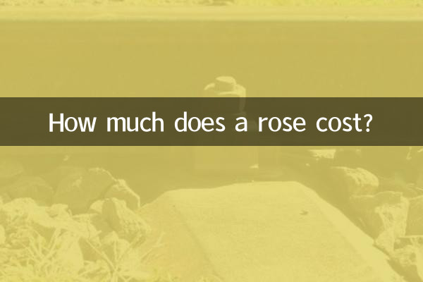 How much does a rose cost?