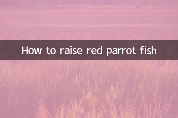 سرخ طوطے کی مچھلی کو کیسے پالیں