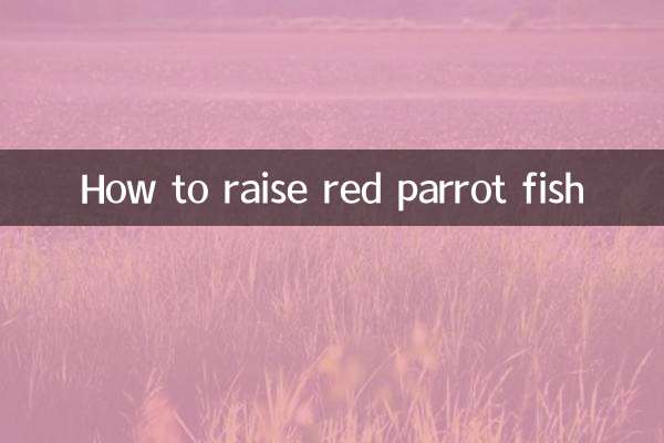 Como criar peixe-papagaio vermelho