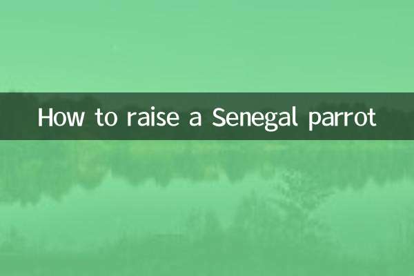 Как вырастить сенегальского попугая