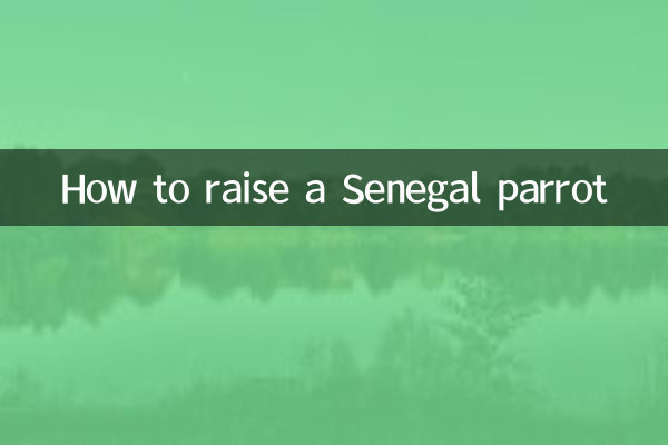塞內加爾鸚鵡怎麼養
