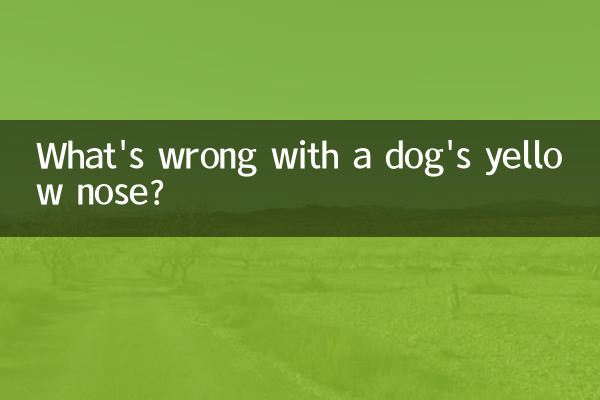 একটি কুকুর এর হলুদ নাক সঙ্গে ভুল কি?