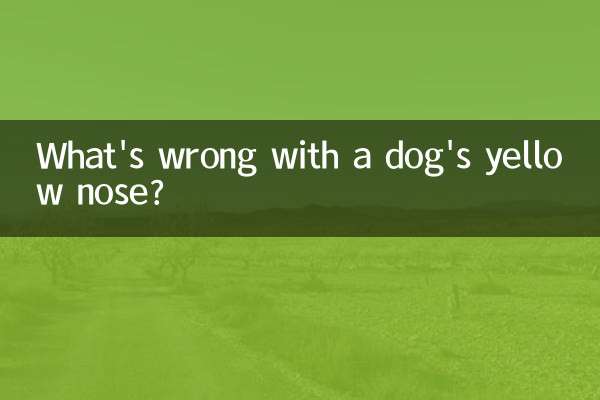 O que há de errado com o nariz amarelo de um cachorro?