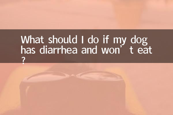 Что делать, если у моей собаки понос и она не ест?