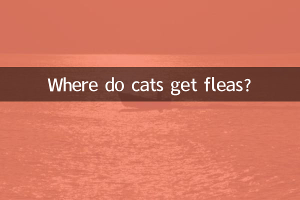 Откуда у кошек появляются блохи?