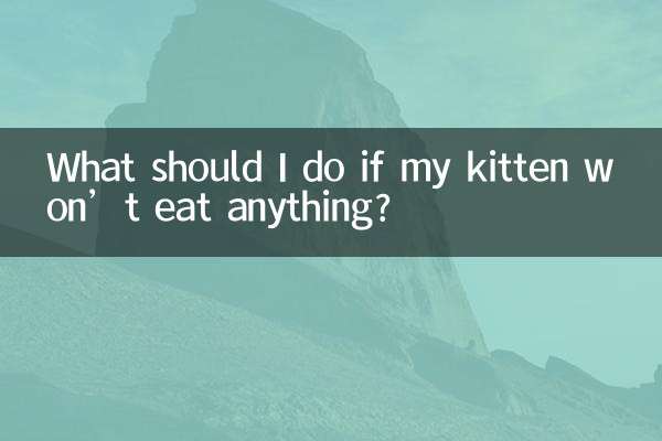 What should I do if my kitten won’t eat anything?