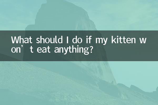 What should I do if my kitten won’t eat anything?