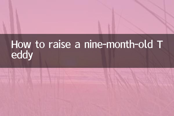 नौ महीने के टेडी का पालन-पोषण कैसे करें?
