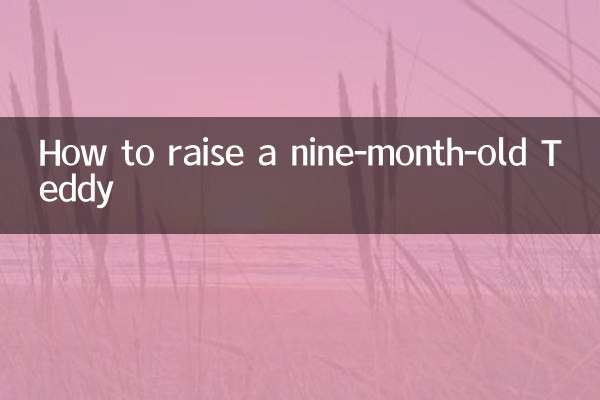 नौ महीने के टेडी का पालन-पोषण कैसे करें?