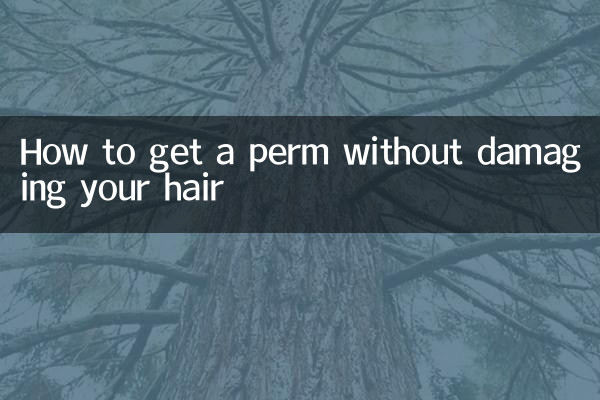 Como fazer permanente sem danificar o cabelo