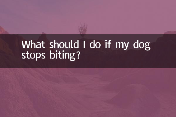 Cosa devo fare se il mio cane smette di mordere?