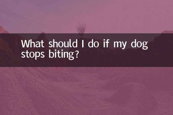 犬が噛まなくなったらどうすればいいですか?