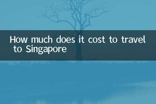 How much does it cost to travel to Singapore