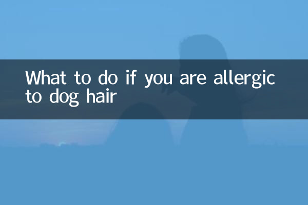 Qué hacer si eres alérgico al pelo de perro