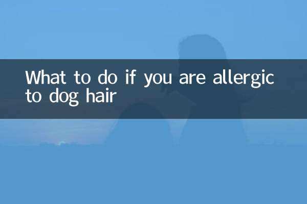 犬の毛にアレルギーがある場合はどうすればよいですか