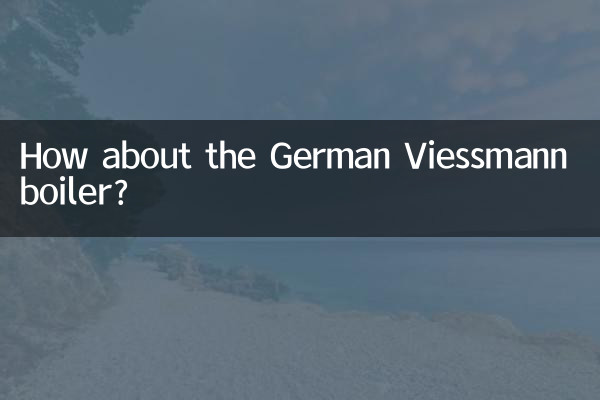 Che ne dici della caldaia tedesca Viessmann?