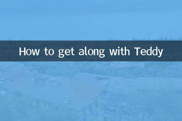 How to get along with Teddy