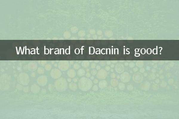 닥닌 어떤 브랜드가 좋은가요?