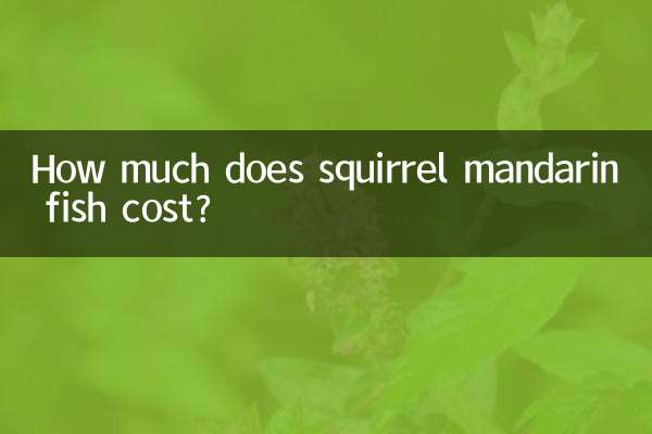 松鼠桂魚多少錢