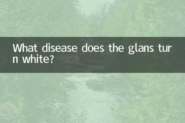 What disease does the glans turn white?