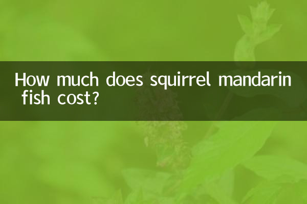다람쥐 만다린 생선 가격은 얼마입니까?